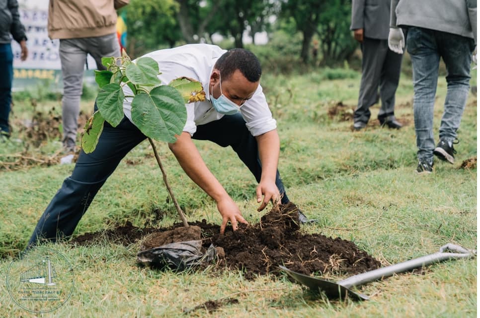 “Ethiopia’s Green Legacy Initiative-Planting Our Print for Future ...